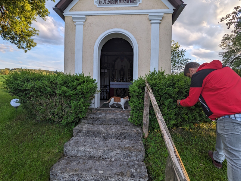 Diesmal Katze statt Hund. Kampf dem Zünsler.